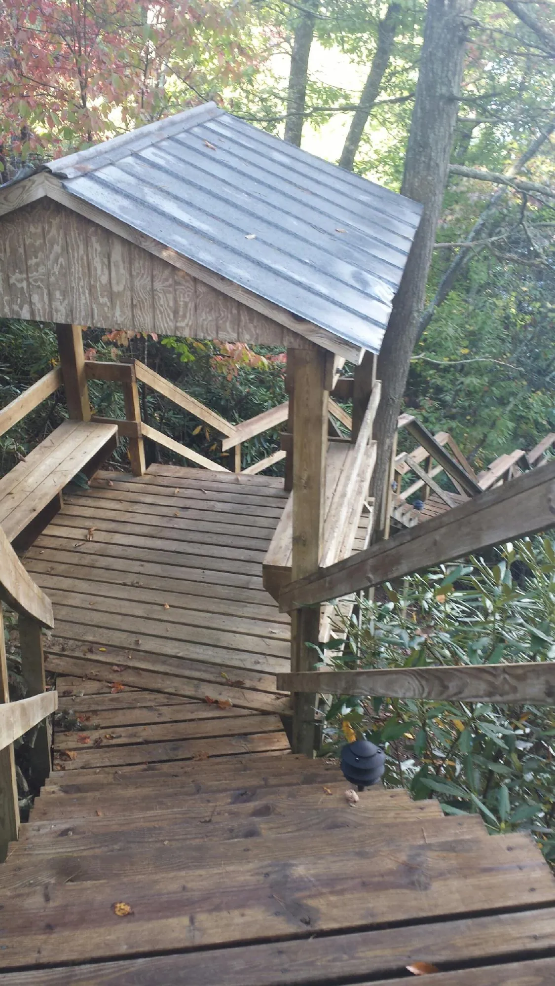 Metal roofed shelter over wooden steps on a wooded walkway — Skylight Repair & Installation work by our crew in Pearl